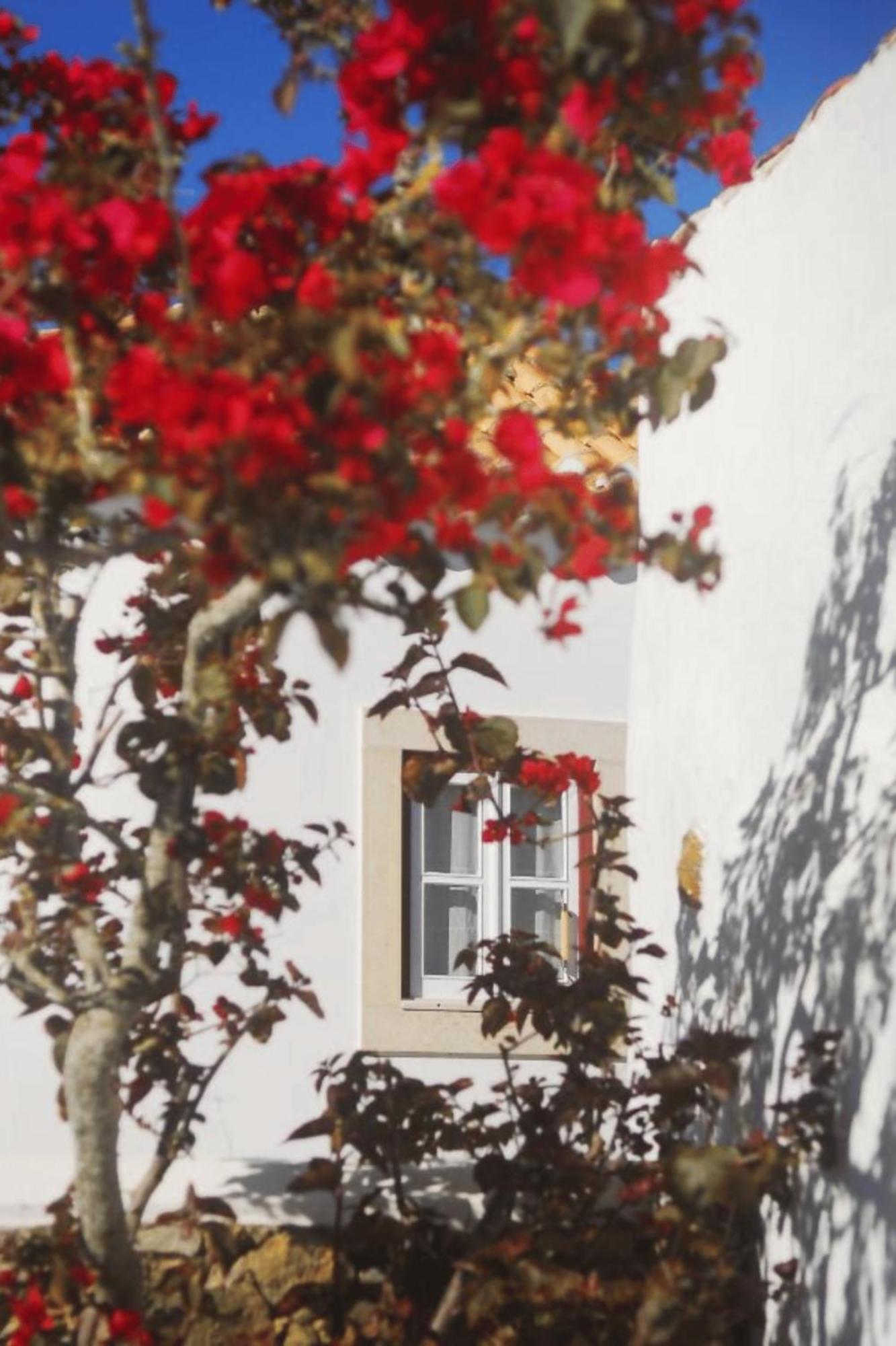 Casas Da Tia Alice - Casas De Campo Encantadoras Em Mafra Exterior foto